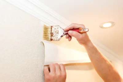 Pose de papier peint à Viscos — revêtements muraux et toiles de verre